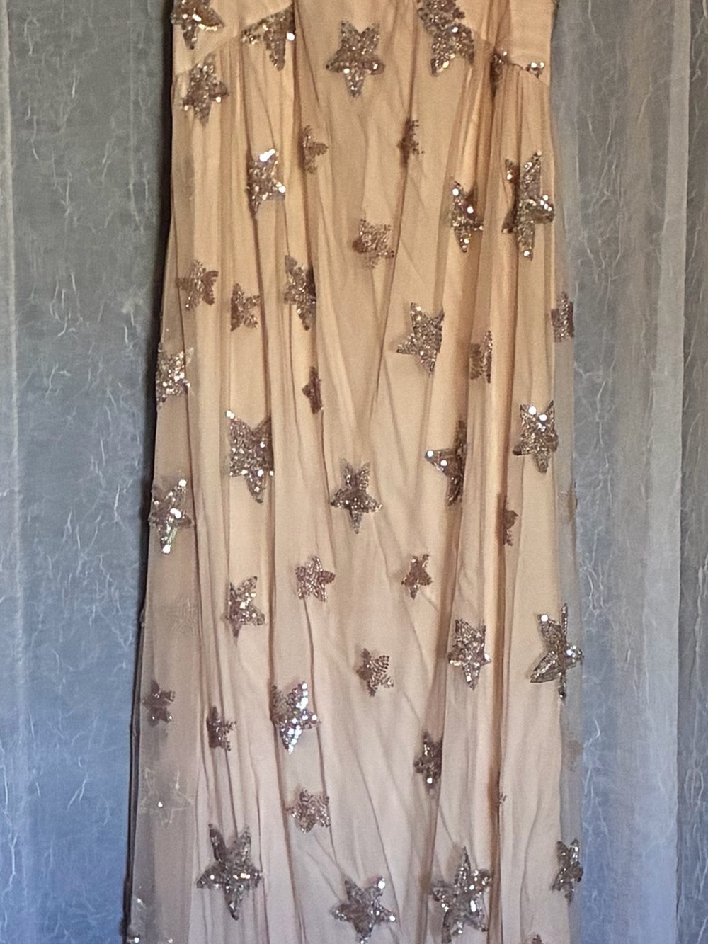 saltwater LUXE Champagne Star-Embellished Midi Dress